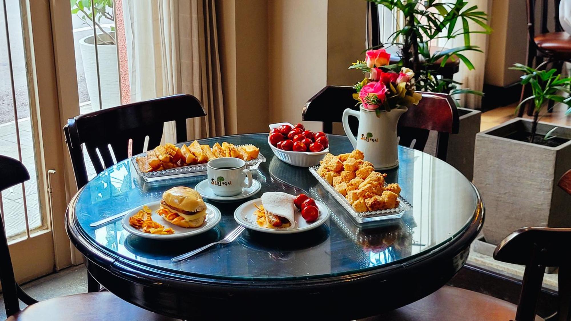Seringal Hotel マナウス エクステリア 写真